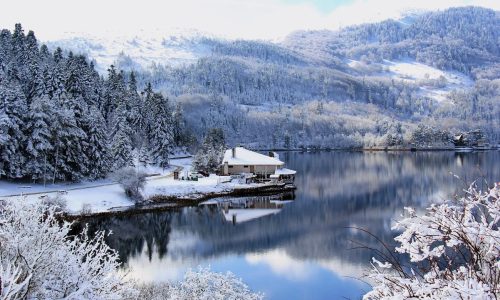 Bolu Yangını Basın Açıklamamız ve Güvenlik Uyarıları (1)