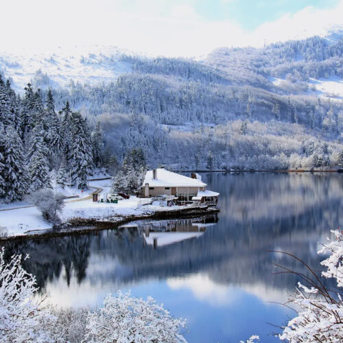 Bolu Yangını Basın Açıklamamız ve Güvenlik Uyarıları (1)